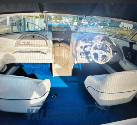 Sea Ray 190 BR de segunda mano en venta