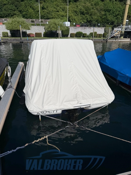 Sea Ray 190 BR de segunda mano en venta