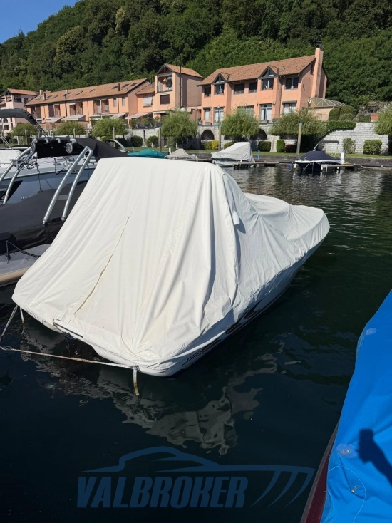 Sea Ray 190 BR de segunda mano en venta