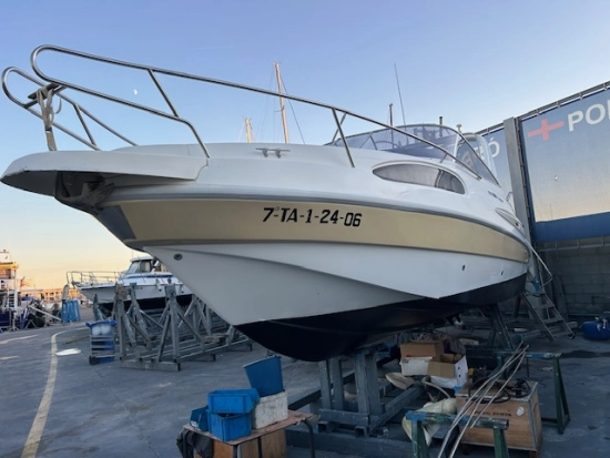 Rio 800 Cruiser de segunda mano en venta