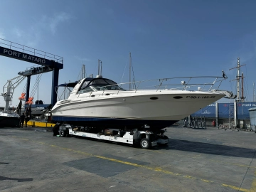 Sea Ray Sundancer 40 usata in vendita