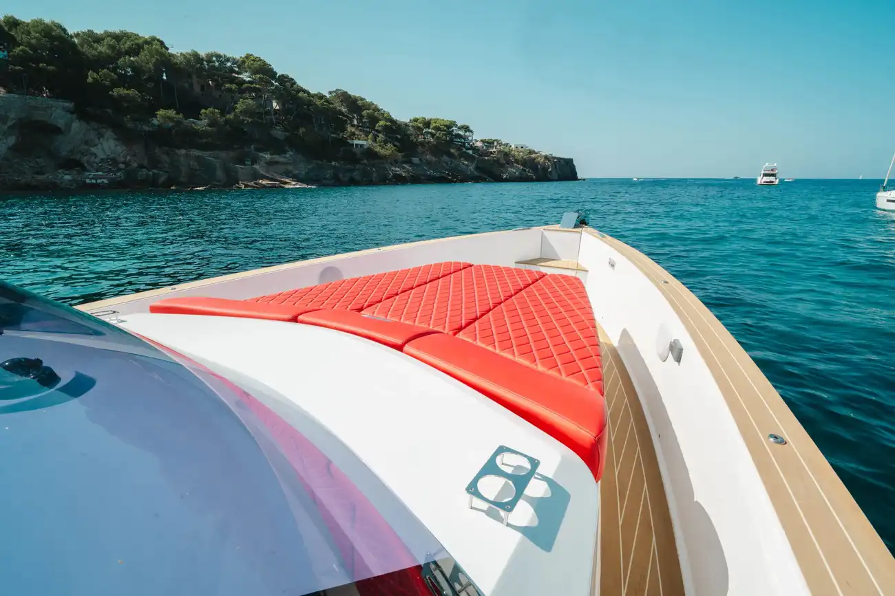 Fjord 40 Open de segunda mano en venta