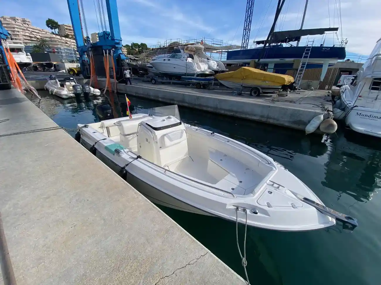 Boston Whaler 220 Outrage usata in vendita