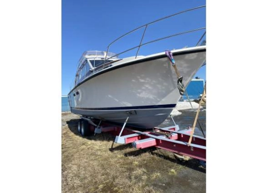 Storebro Royal Cruiser 40 Biscaya usata in vendita