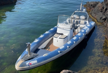 Ribeye RCL 890 usata in vendita