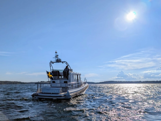 Paragon 31 Flybridge usado à venda