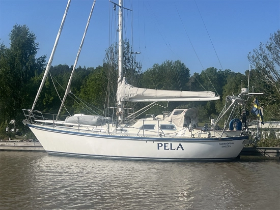Tayana Vancouver 42 de segunda mano en venta