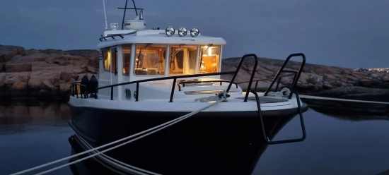 Sargo 28 usado à venda