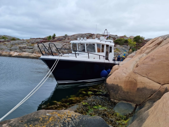 Sargo 28 usado à venda