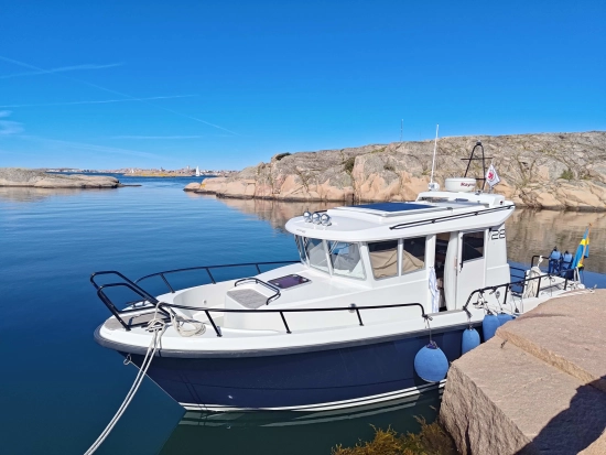 Sargo 28 usado à venda