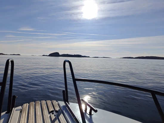 Sargo 28 usado à venda