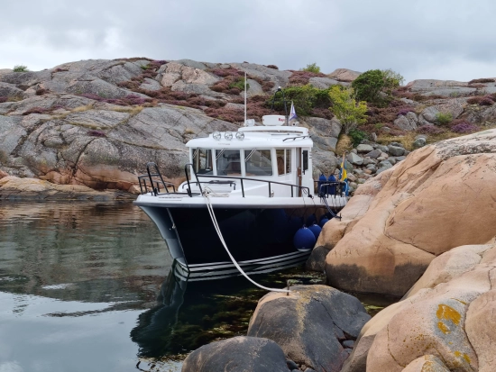 Sargo 28 usado à venda