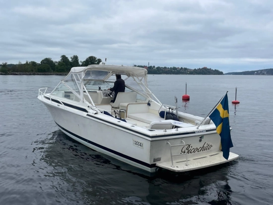 Bertram 28 Moppie usata in vendita