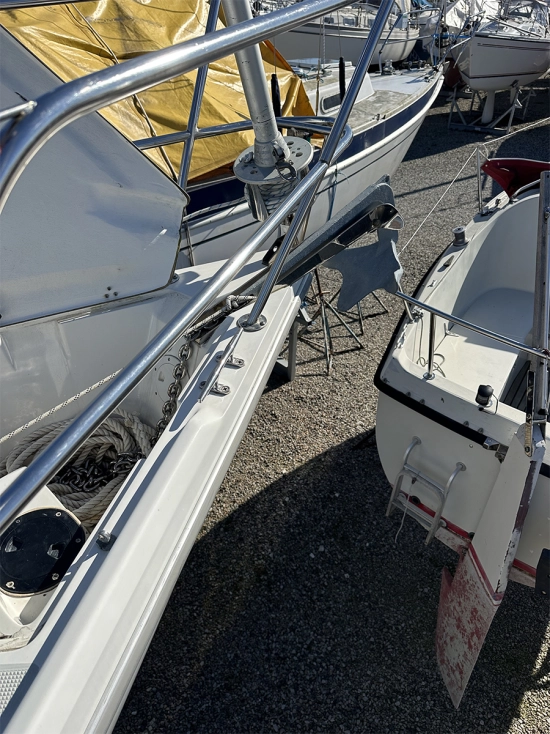 Catalina Yachts 34 usata in vendita