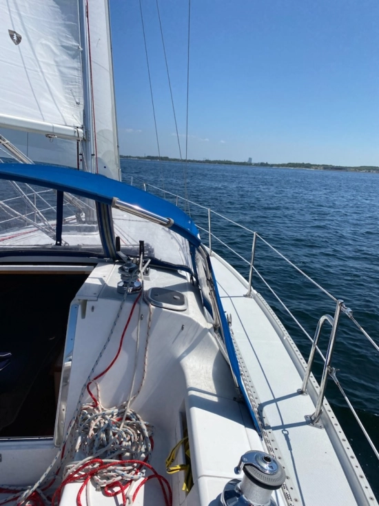 Catalina Yachts 34 usata in vendita