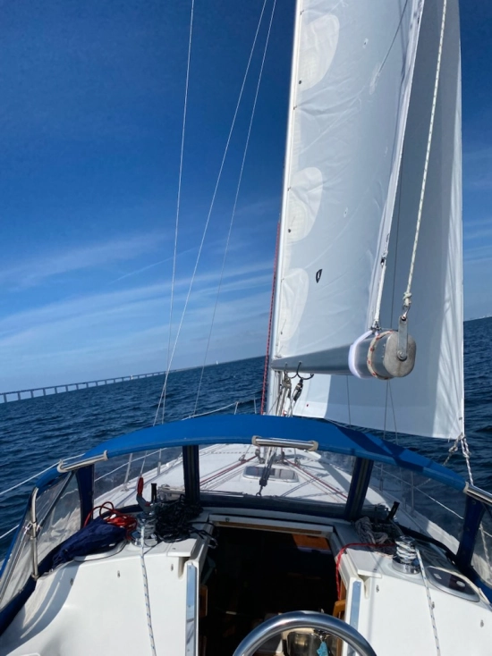 Catalina Yachts 34 usata in vendita