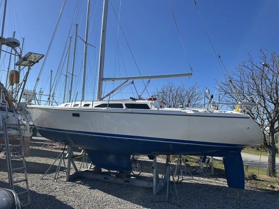 Catalina Yachts 34 usata in vendita