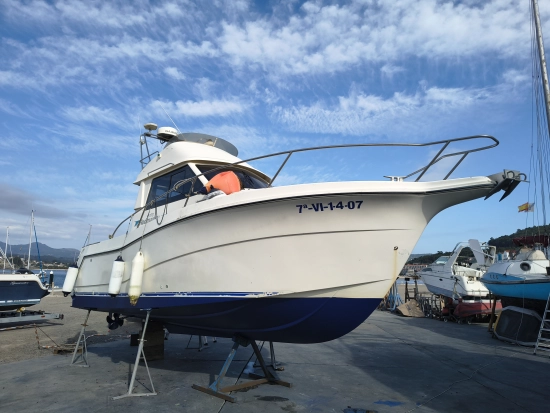 Rodman 870 usata in vendita