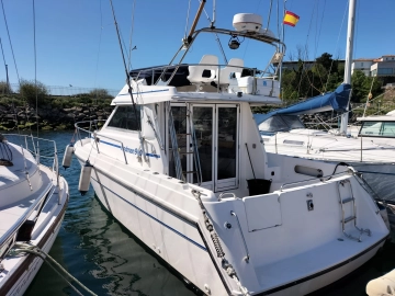 Rodman 900 usata in vendita