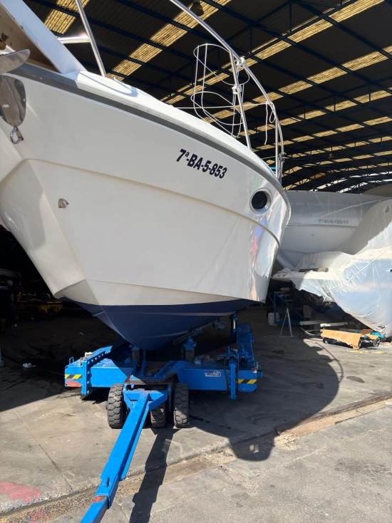 Cranchi Cruiser 32 usado à venda