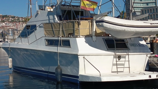 POWLES 40 FLY usata in vendita