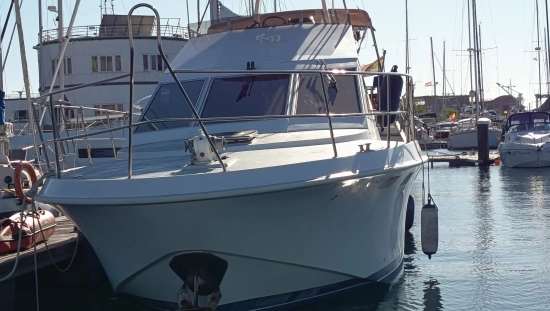 POWLES 40 FLY usata in vendita