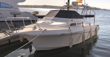 Rodman 790 de segunda mano en venta