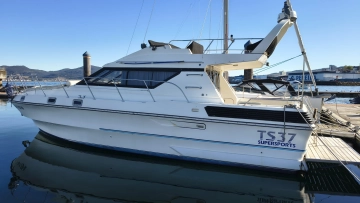 Birchwood 37 TS usata in vendita