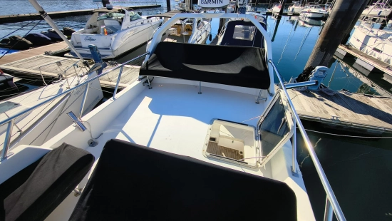 Birchwood 37 TS de segunda mano en venta