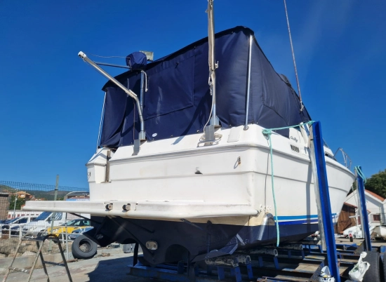 Sea Ray Sundancer 300 usata in vendita