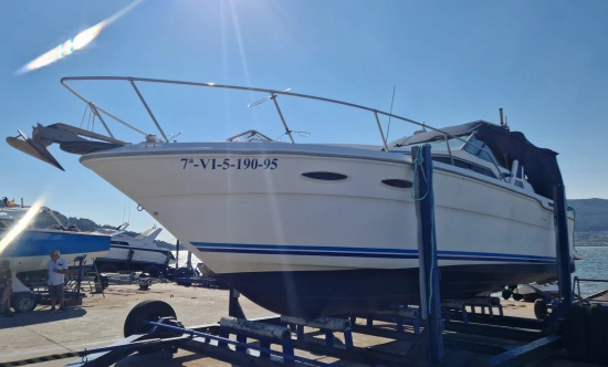 Sea Ray Sundancer 300 usata in vendita