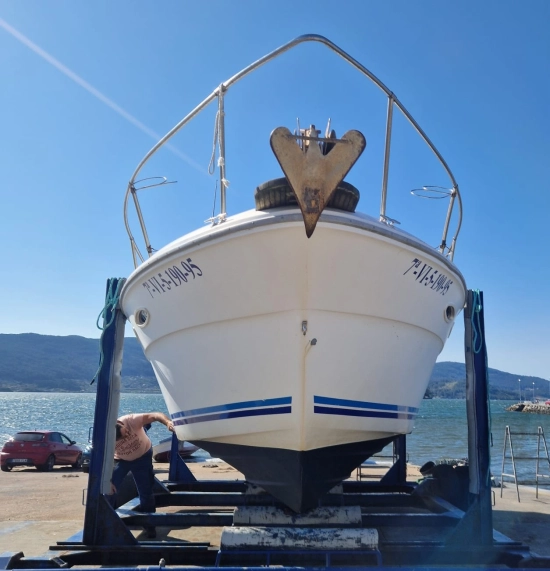 Sea Ray Sundancer 300 usata in vendita