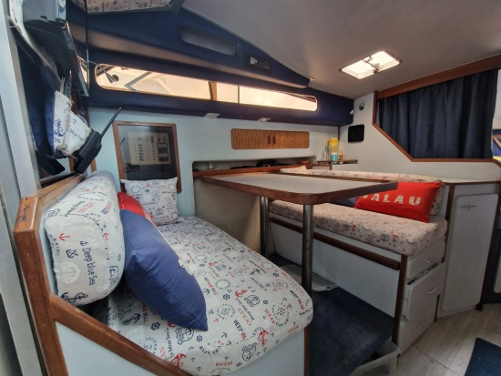 Sea Ray Sundancer 300 usata in vendita
