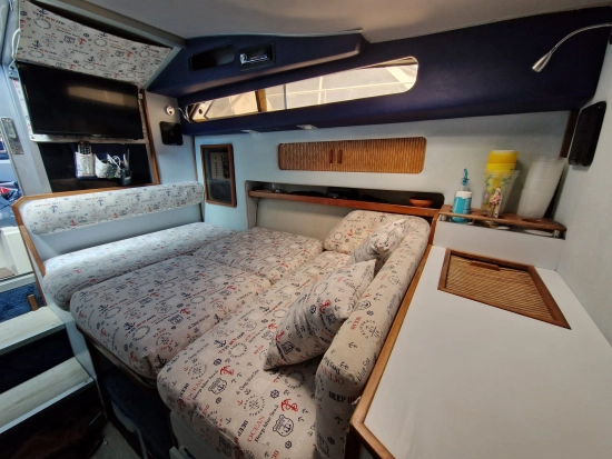 Sea Ray Sundancer 300 usata in vendita