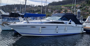 Sea Ray Sundancer 300 de segunda mano en venta