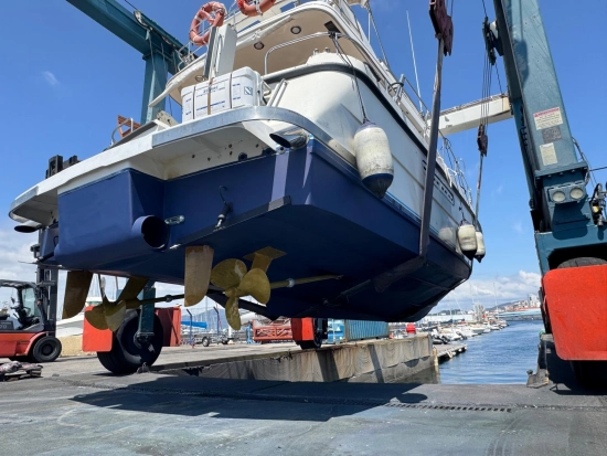 Neptunus 138 sedan de segunda mano en venta