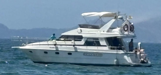 Neptunus 138 sedan de segunda mano en venta