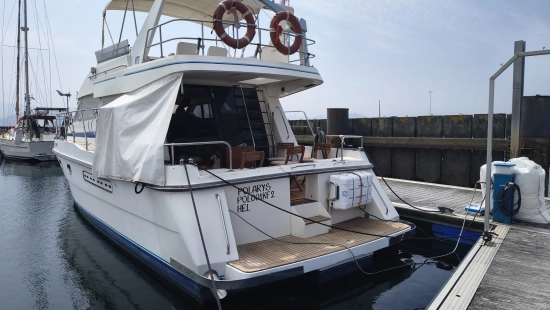 Neptunus 138 sedan de segunda mano en venta
