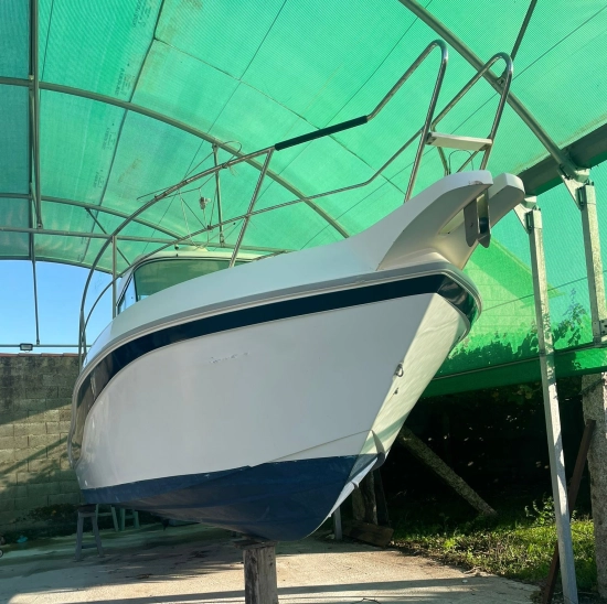 Faeton Moraga 730 de segunda mano en venta