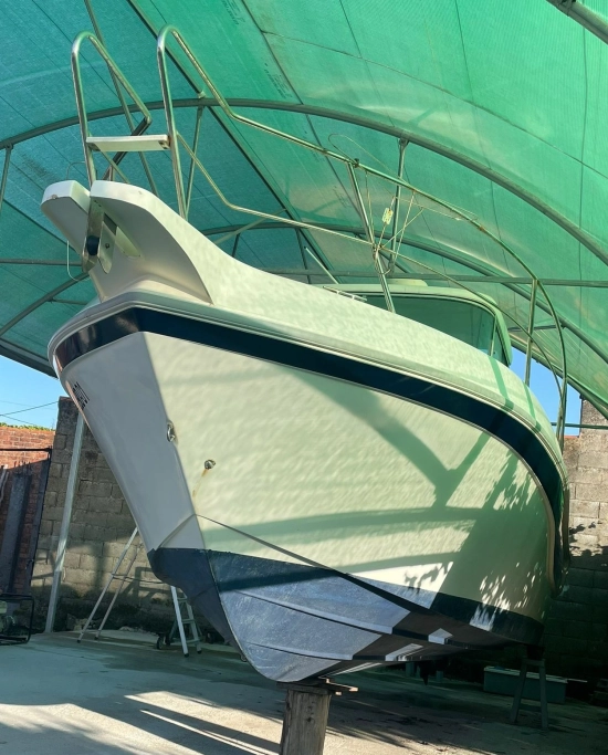 Faeton Moraga 730 de segunda mano en venta