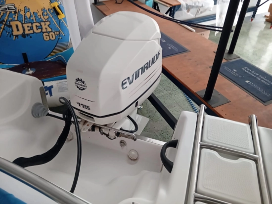 Ranieri PATHFINDER usado à venda