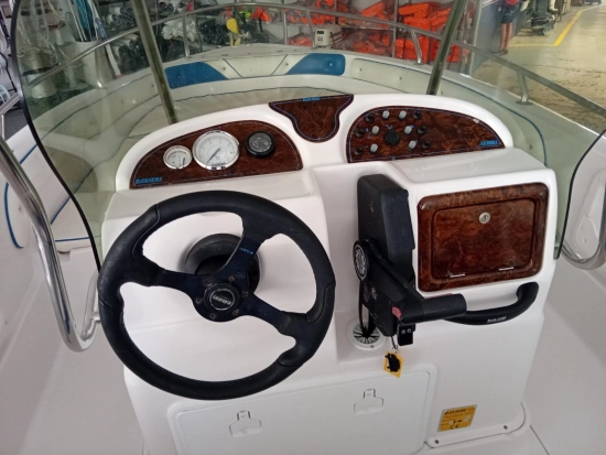 Ranieri PATHFINDER usado à venda