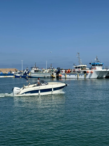 Mareti Boats 650 CRUISER + SUZUKI 115 novos à venda