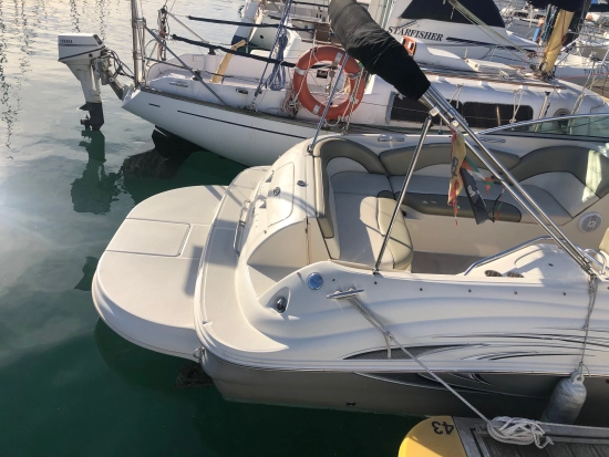 Sea Ray 240 SUNDECK gebraucht zum verkauf