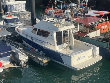 Rodman 1120 usata in vendita