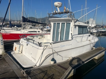 Goymar 800 de segunda mano en venta