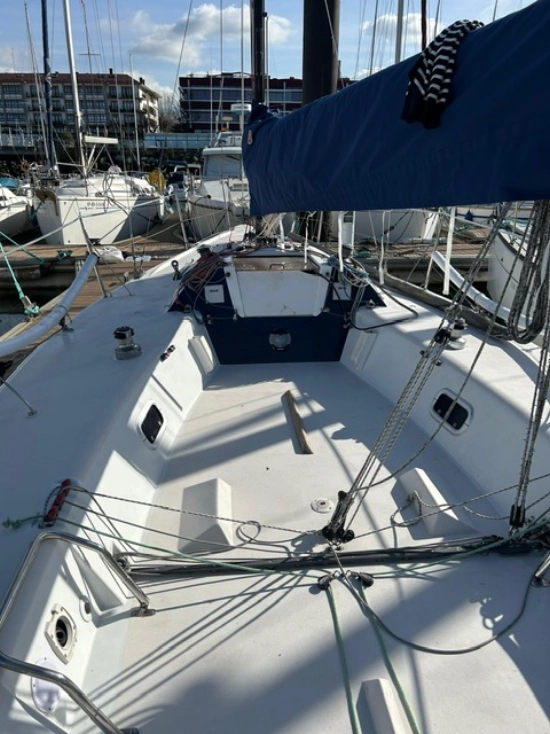 Farr Yacht Design Mumm 30 usado à venda