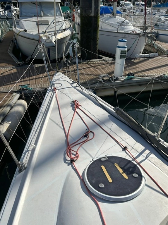 Farr Yacht Design Mumm 30 usado à venda
