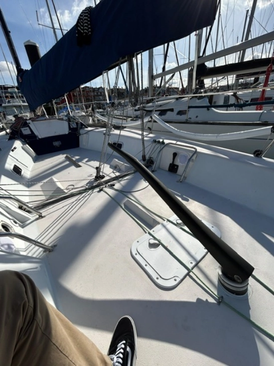 Farr Yacht Design Mumm 30 usado à venda