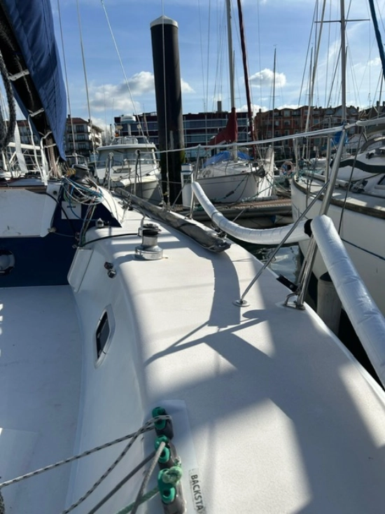Farr Yacht Design Mumm 30 usado à venda